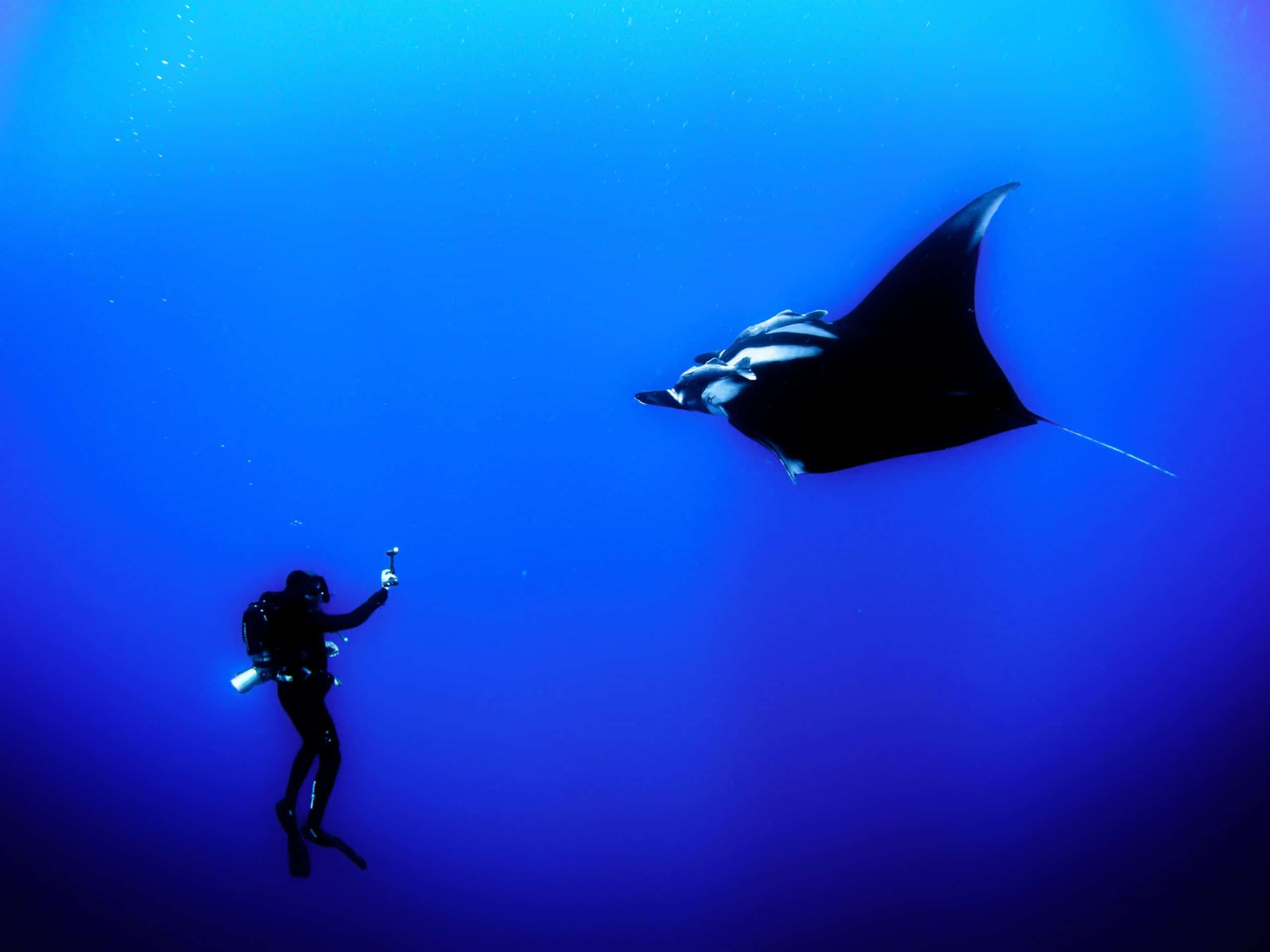 La plongée sous-marine en Crète