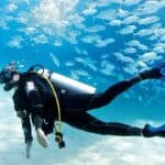 openwater-course2B.jpg