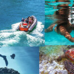 snorkel-950×495